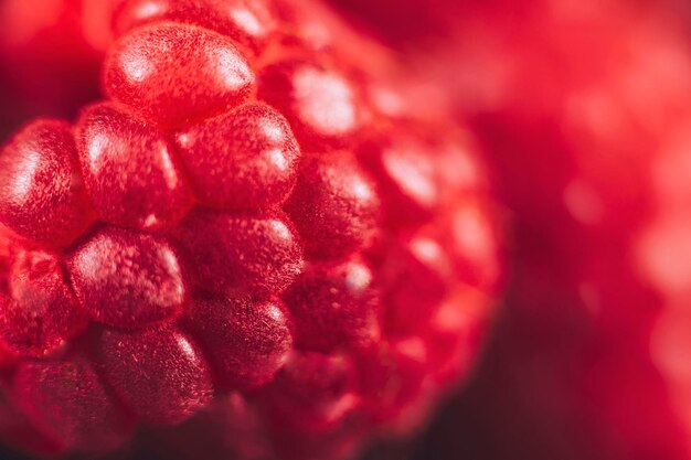 Foto verse frambozen macro close-up antioxidant fruit