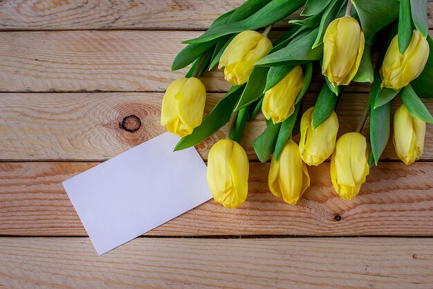 Verse gele tulpen met kopie ruimte