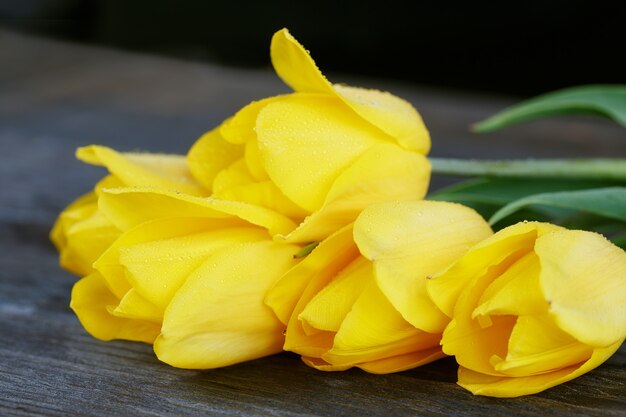 Foto verse gele tulpen op donkere houten ondergrond