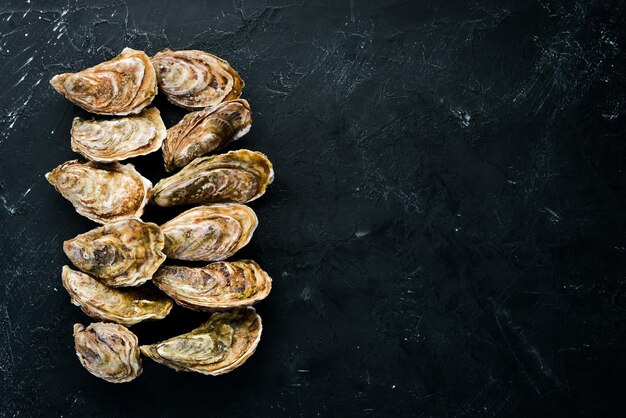 Verse gesloten oesters. Zeevruchten op een zwarte steenachtergrond. Bovenaanzicht. Gratis exemplaar ruimte.