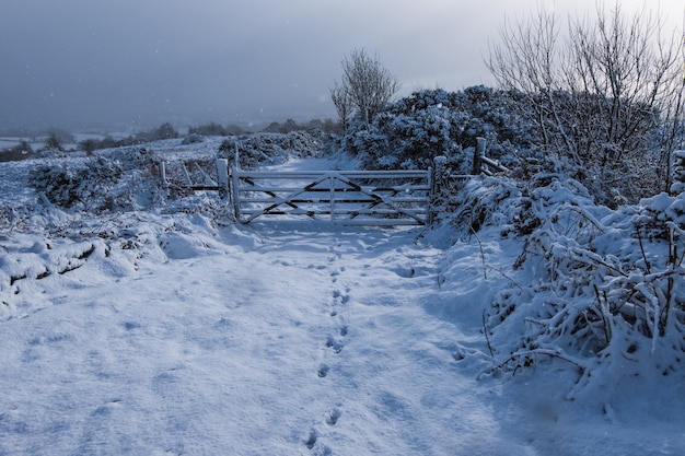 verse gevallen ongerepte sneeuw in Noord-Ierland, Verenigd Koninkrijk