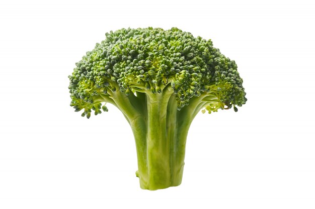 Verse gezonde broccoli geïsoleerd op een witte achtergrond