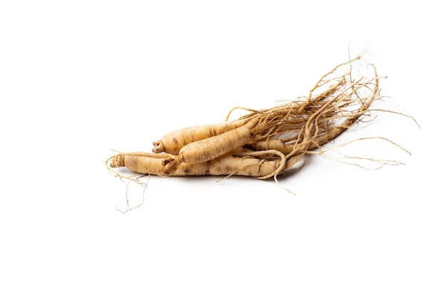 Verse ginseng op witte achtergrond