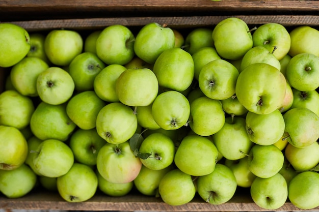 Verse groene appels op de houten kistenoogst