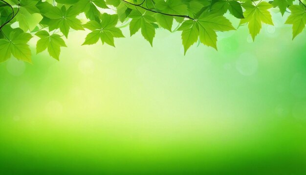 Verse groene bladeren ecologische vector achtergrond