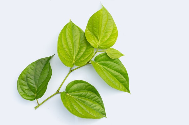 Verse groene bladeren van betelplant op wit oppervlak