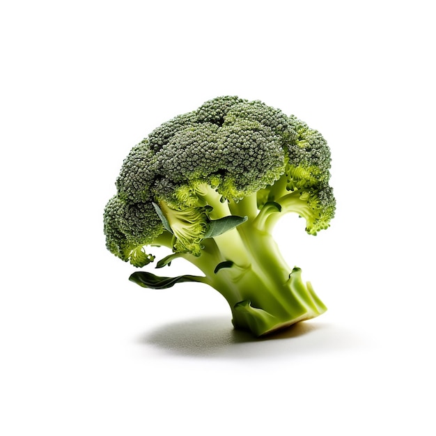 Verse groene broccoli