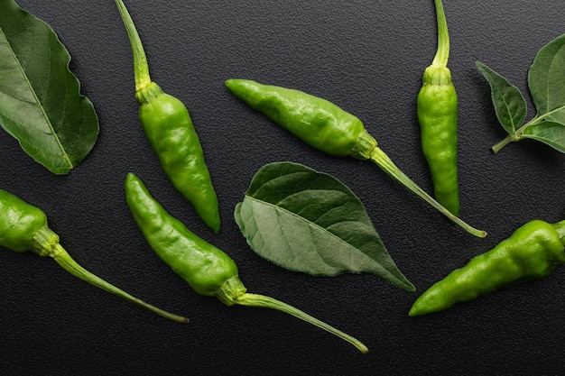 Verse groene chili geïsoleerd op zwarte dramatische achtergrond