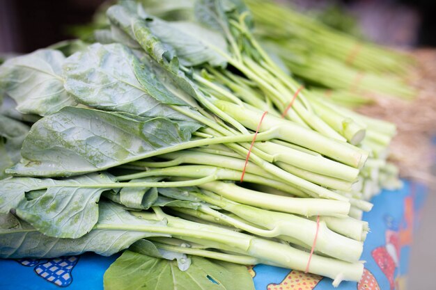 Verse groene chinese boerenkool in de markt.