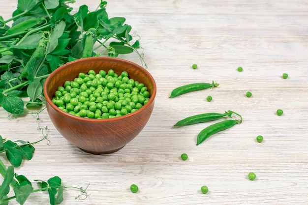 Verse groene erwten in een kom tegen de achtergrond van erwtenscheuten