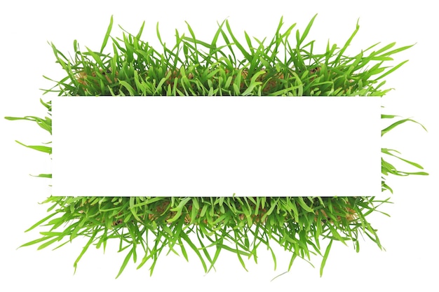 Verse groene grasbanner die op witte achtergrond wordt geïsoleerd