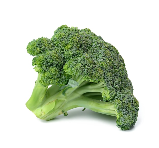 Verse groene kop van broccoli op een witte achtergrond