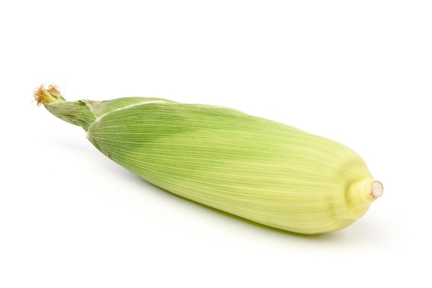 Verse groene maïs geïsoleerd op een witte achtergrond.