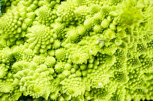 Verse groene romanesco detail close-up, rauwe biologische kool op donkere oude houten achtergrond