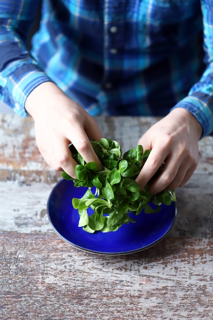 Verse groene salade in mannelijke handen. Salade puree. Dieet concept.