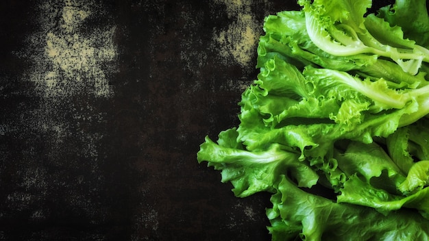 Verse groene saladebladeren op een donkere achtergrond