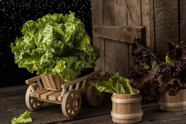 Verse groene slasalade op houten kar.