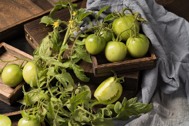 Verse groene tomaten op een eenvoudige achtergrond