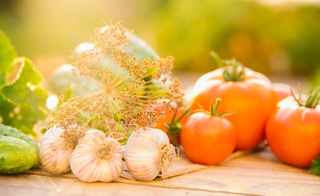 Verse groenten op een houten ondergrond Komkommers Tomaten Knoflook Dille Voorgevormd zonlicht Biologische boerderij Biologische groenten Zomeroogst