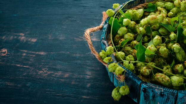 Verse hop in houten kist op de oude houten achtergrond vrije ruimte voor tekst bovenaanzicht