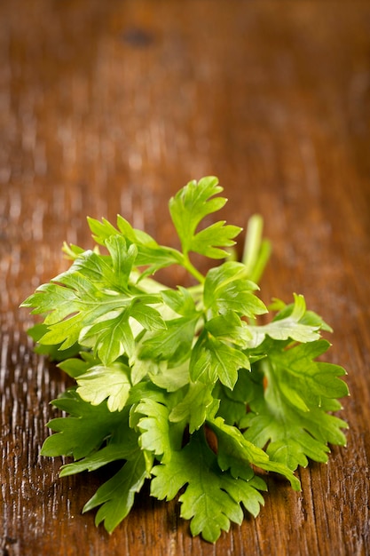 Verse Italiaanse peterselie op tafel Groene peterselie