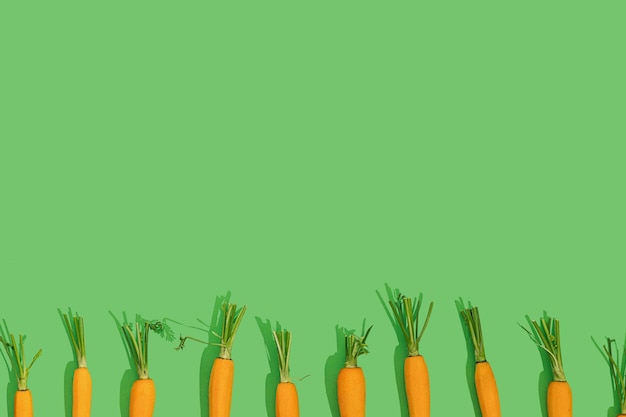 Verse jonge bio oranje wortel met groen blad loof in een rij op een heldere kleur groene achtergrond met kopie ruimte op een zonnige dag met scherpe schaduwen Gezonde voeding eten concept Raw food idee