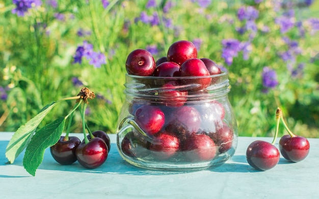 Verse kersen in glazen bakjes op een zomerse dag