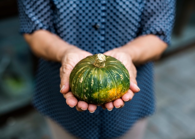 Verse kleine groene pompoen