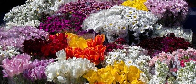 Verse kleurrijke bloemen in vazen