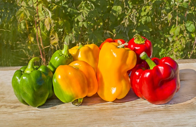 Verse kleurrijke paprika's op hout Gezonde biologische groenten Groep kleurrijke paprika's op de houten achtergrond