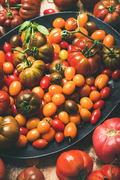 Verse kleurrijke rijpe tomaten selectieve focus