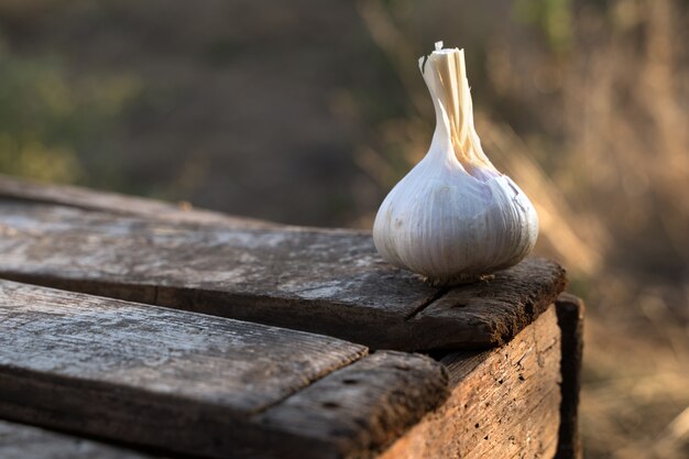 Verse knoflook op een houten tafel