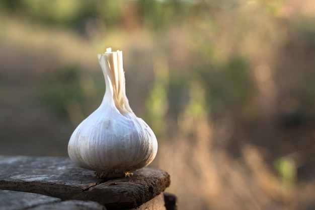 Verse knoflook op een houten tafel