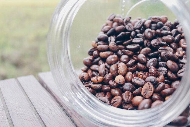 Verse koffiebonen in een plastic pot met bruine kleur