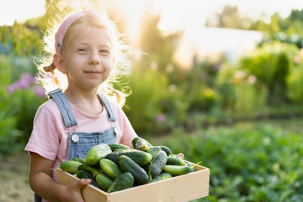 Verse komkommers uit de tuin in de handen van een schattig blond meisje, biologische producten, groenteoogst.