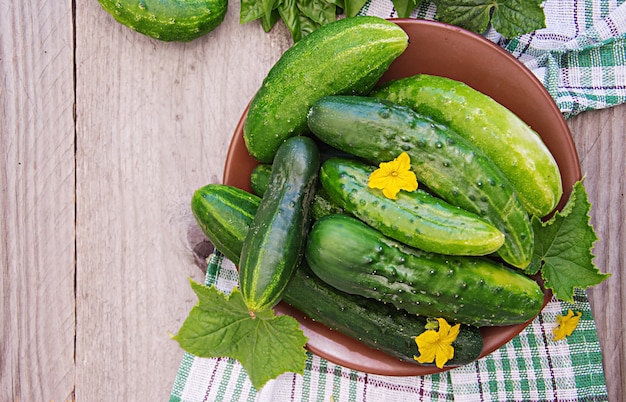 Verse komkommers uit de tuin op de tafel in de zomertuin. Bovenaanzicht