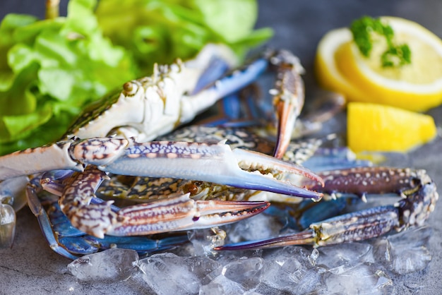 Verse krab voor gekookt voedsel in restaurant of zeevruchtenmarkt / rauwe krab op ijs met kruiden citroen en salade sla op de donkere plaat achtergrond Blauwe zwemmen krab