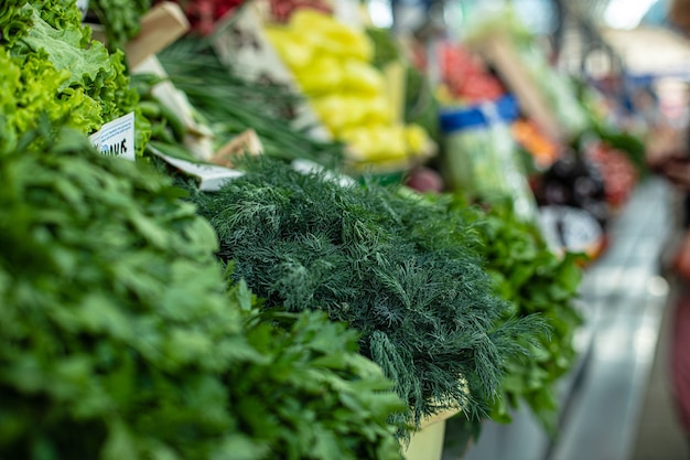 Verse kruiden: dille en peterselie. Groen gras. Verkocht op de markt dille en peterselie.