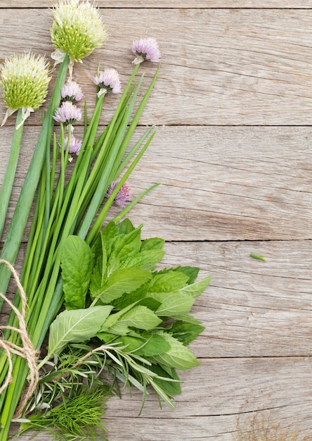 Verse kruiden en specerijen op tuintafel