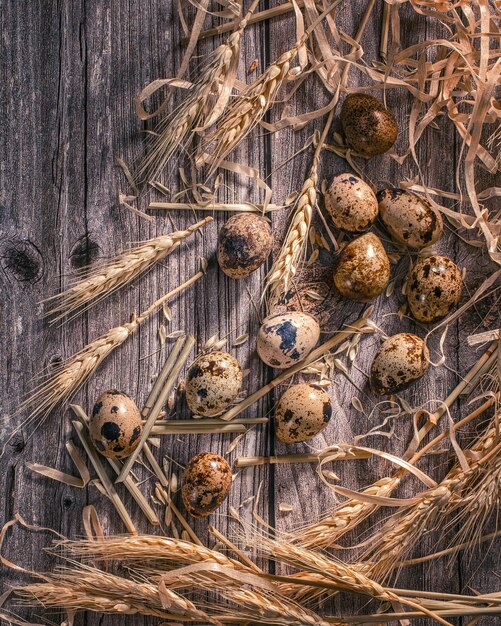 Verse kwarteleitjes op een houten backgroundconcept van voorbereiding voor het koken