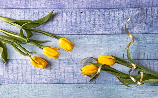 Verse lente gele bloemen op blauwe achtergrond met geel lintTulpen achtergrond