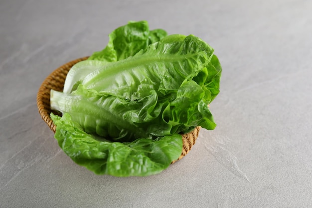 Verse Letucce-salade die op grijze achtergrond wordt geïsoleerd