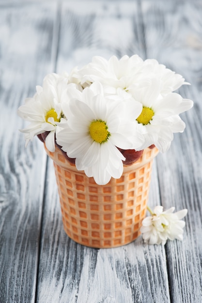 Verse madeliefjebloemen in pot op sjofele houten lijst