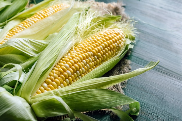 Verse maïskolven met groene bladeren