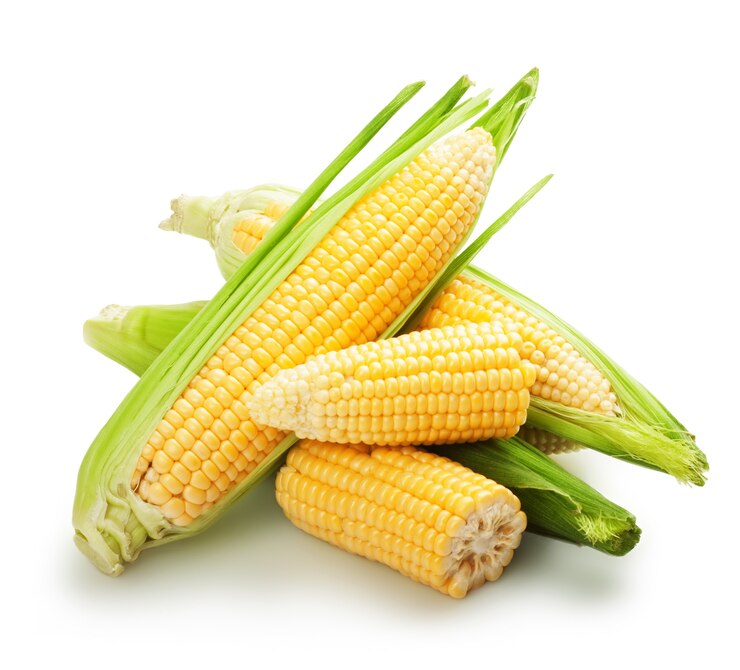 Verse maïsvruchten met groene bladeren die op witte achtergrond worden geïsoleerd