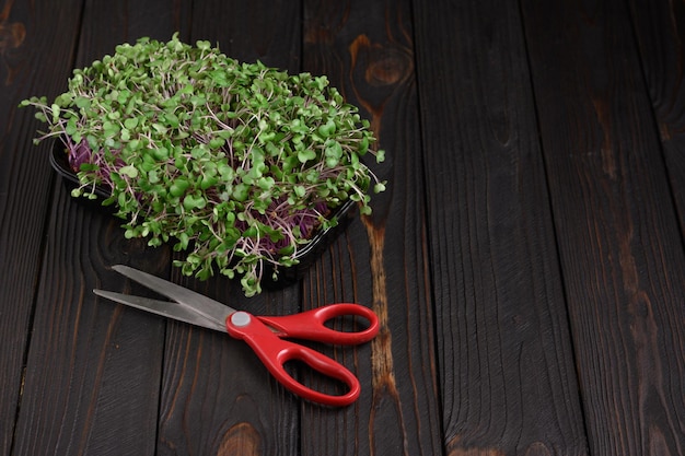 Verse microgreens close-up op houten rustieke donkere achtergrond groeiende spruiten voor salade