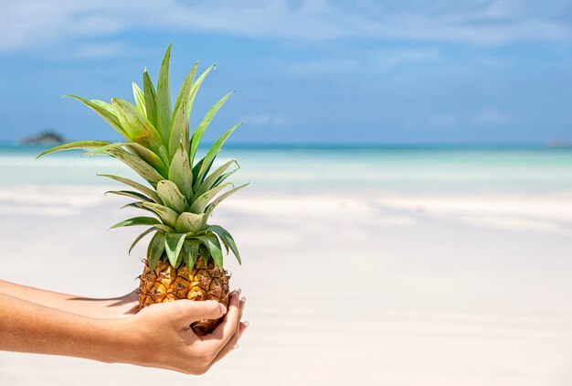 Verse miniananas op de hand van de vrouw bij tropisch strand en zeeachtergrond