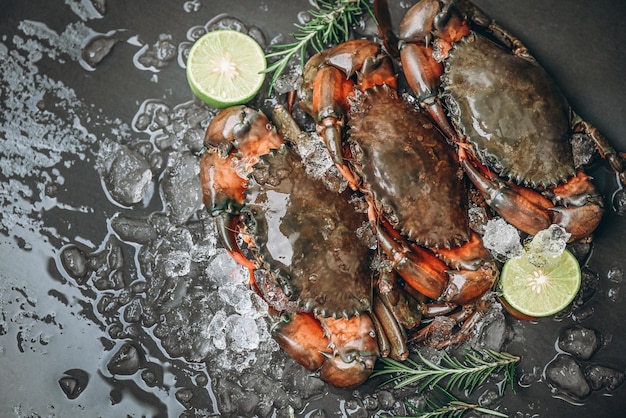 Verse modderkrab met ijs voor het koken van voedsel in de rauwe krab van het visrestaurant op zwarte achtergrond