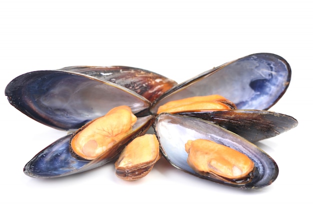 Verse mossel