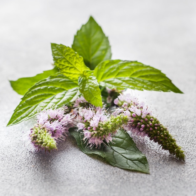 Verse muntbloemen en bladeren op een grijze lijst. Selectieve aandacht